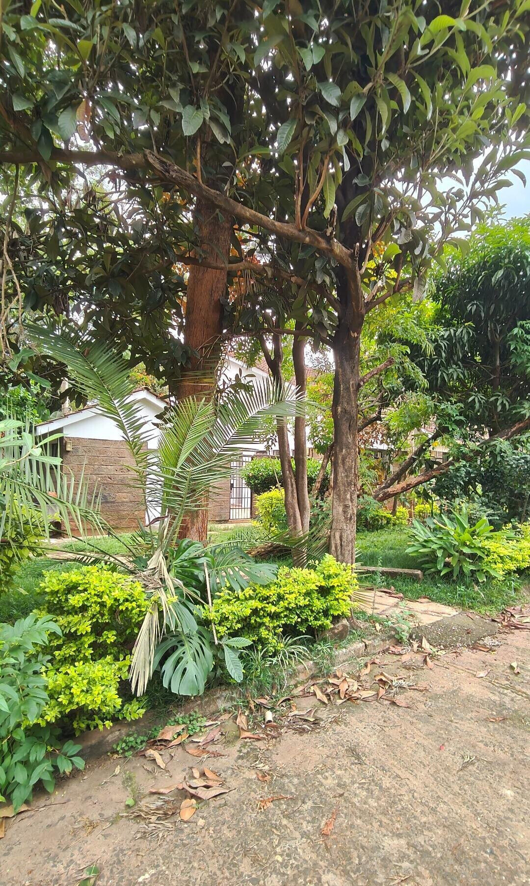 KSh 230K 4BR Townhouse with Garden