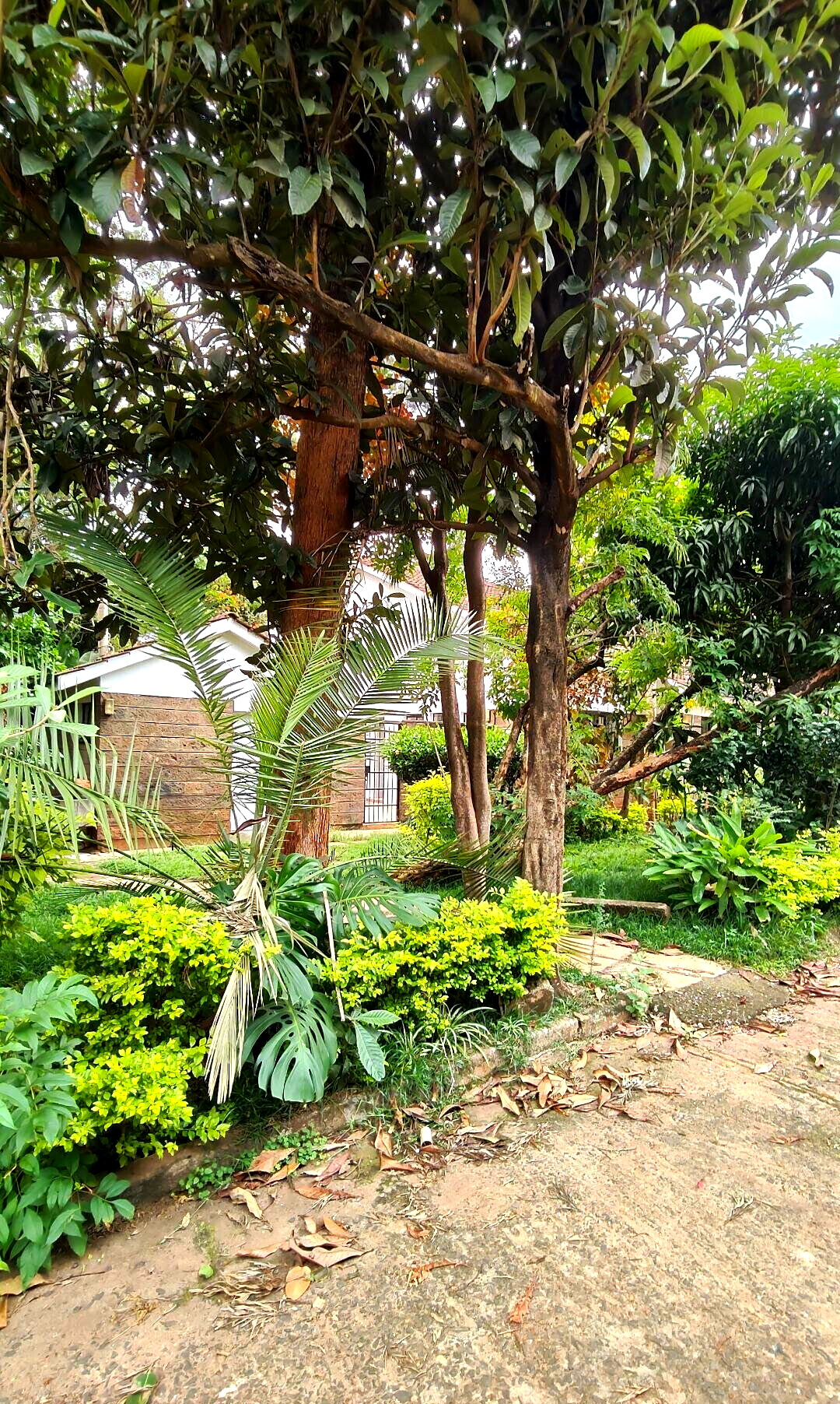KSh 230K 4BR Townhouse with Garden