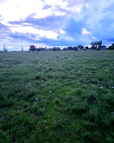 48-Acre Block for Sale at KSh 360M