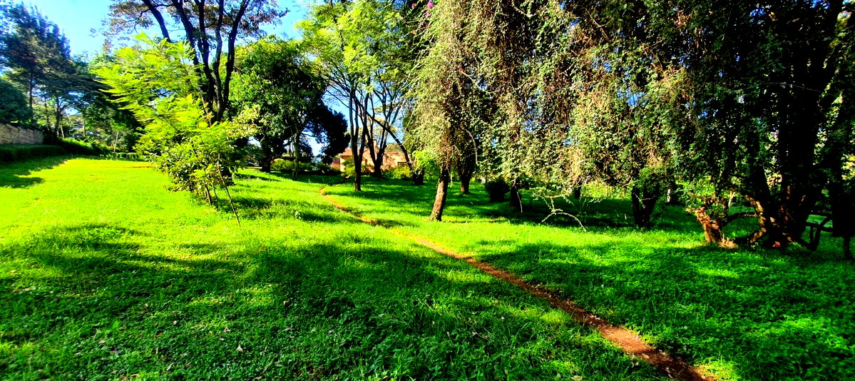 2.5-Acre Commercial Plot on Ngong Road – Karen