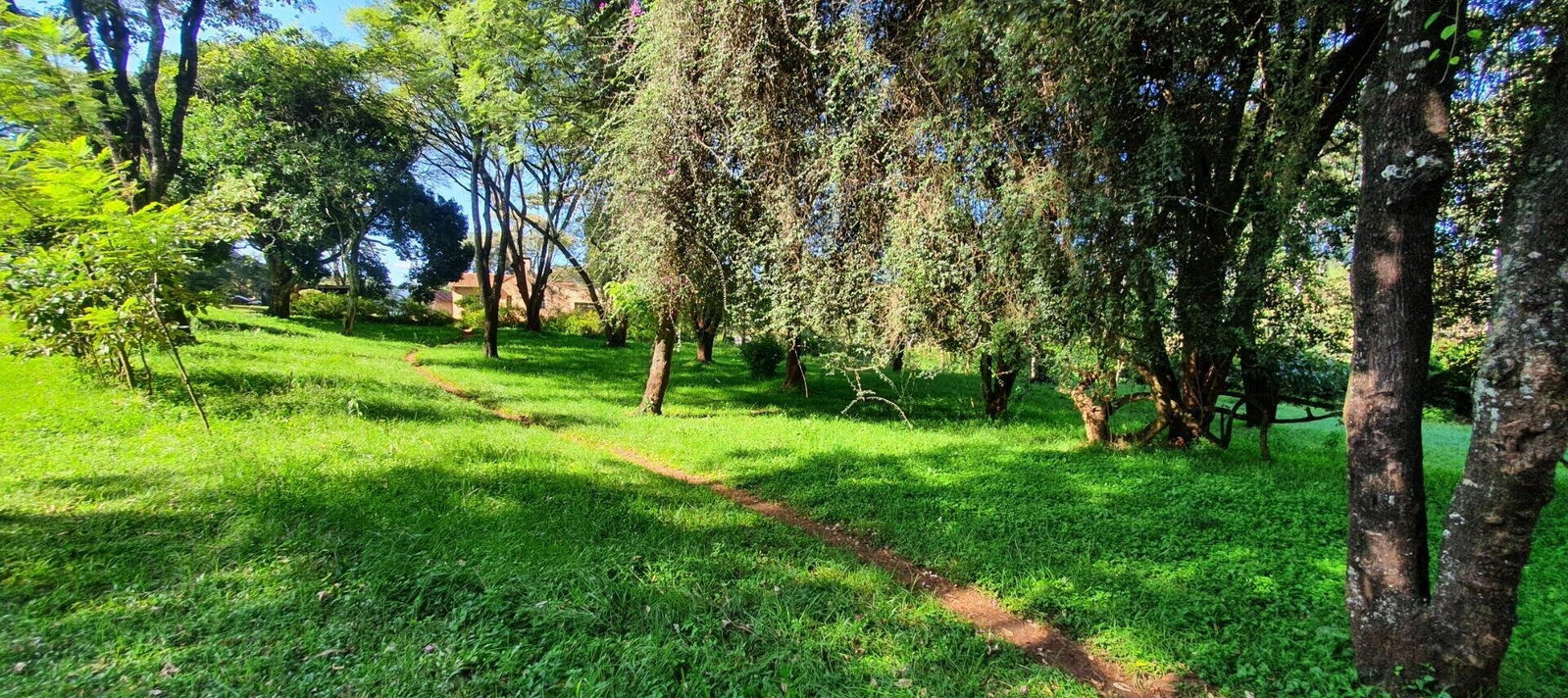 2.5-Acre Commercial Plot on Ngong Road – Karen
