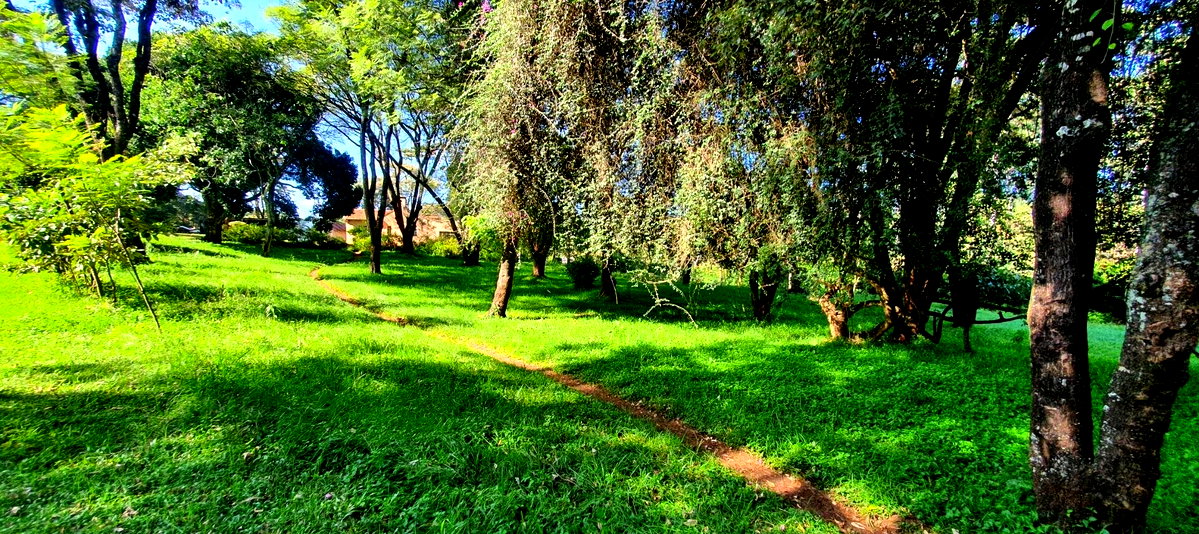 2.5-Acre Commercial Plot on Ngong Road – Karen