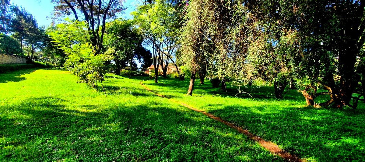 2.5-Acre Commercial Plot on Ngong Road – Karen