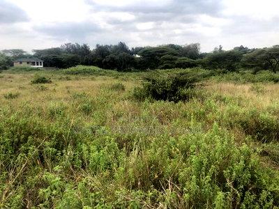 Prime 8.5 Acre Property for Sale at Karen Situ Village at 50m - Image 6