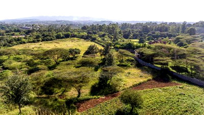 Prime 8.5 Acre Property for Sale at Karen Situ Village at 50m - Image 2