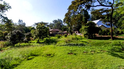 Prime 8.5 Acre Property for Sale at Karen Situ Village at 50m - Image 4