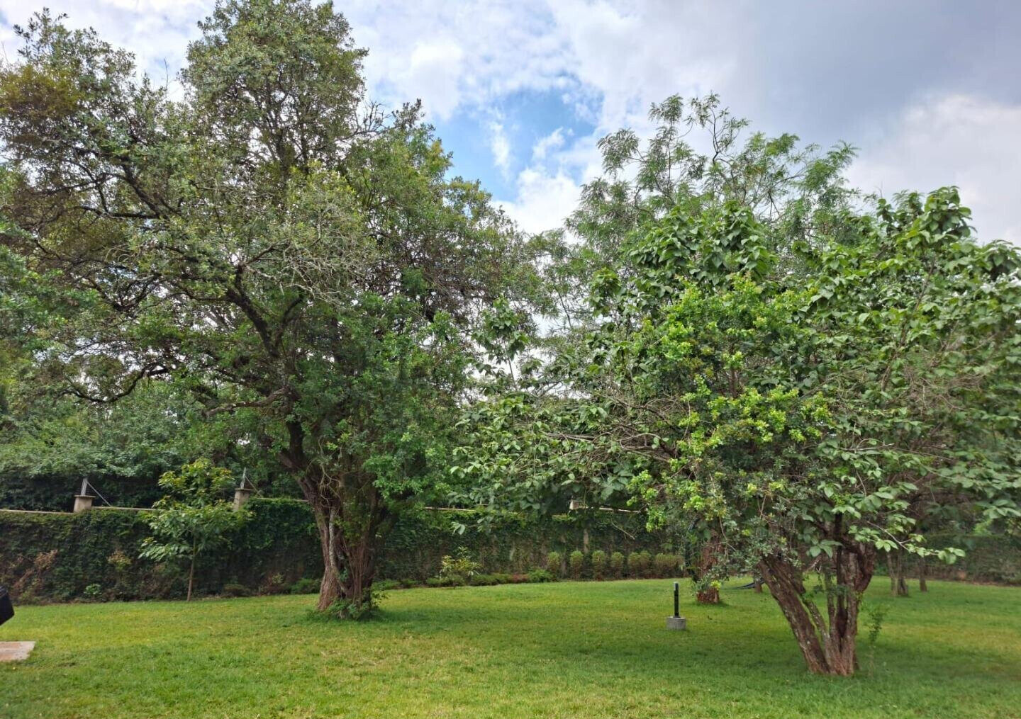 0.16 Acre Karen Mansion with Garden