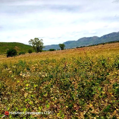 Quick Sale of 3acres in Subukia Lari at Per Acre. - Image 5