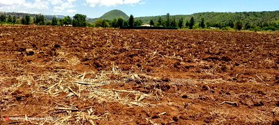Quick Sale of 3acres in Subukia Lari at Per Acre. - Image 2