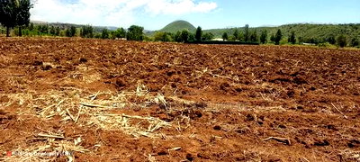 Quick Sale of 3acres in Subukia Lari at Per Acre. - Image 3