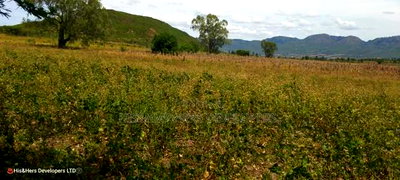 Quick Sale of 3acres in Subukia Lari at Per Acre. - Image 6