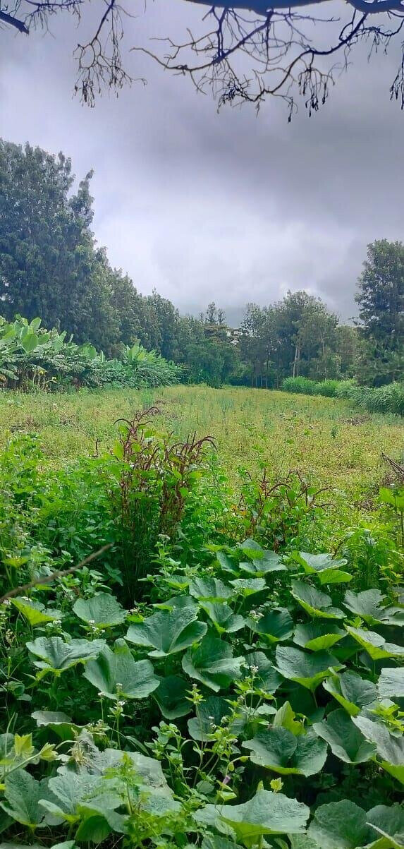 20-Acre Karen Gem at KSh 60M