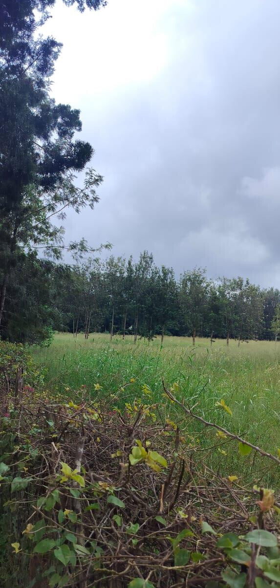 20-Acre Karen Gem at KSh 60M