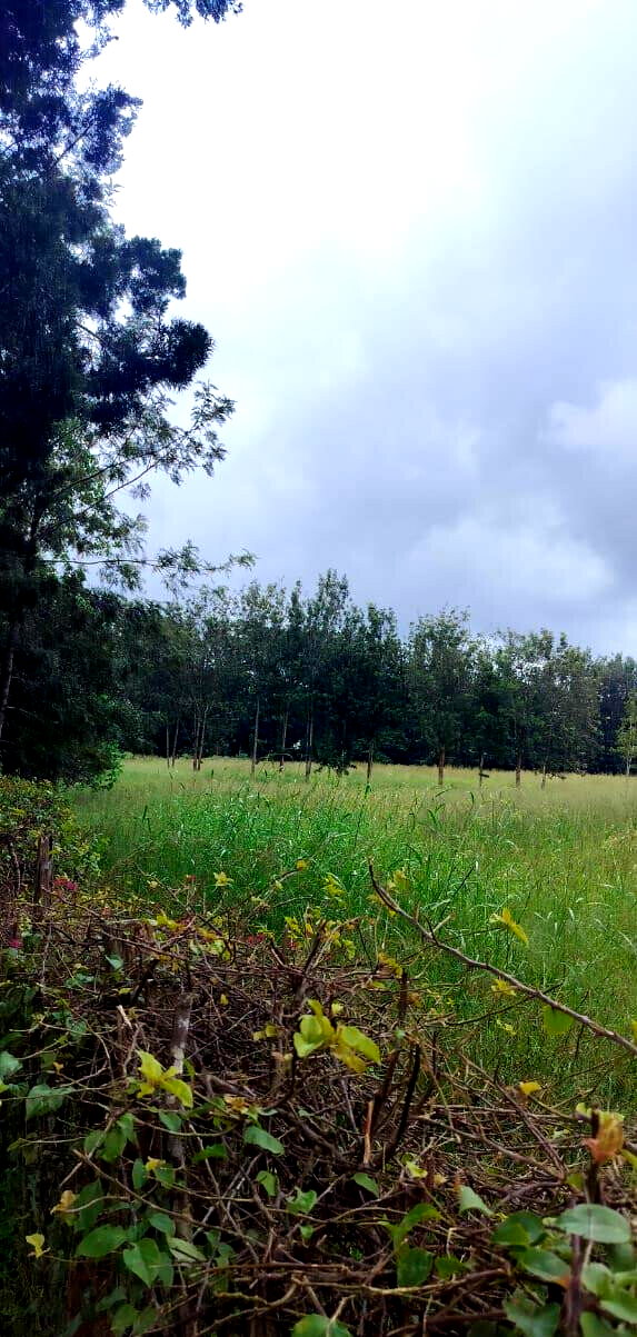 20-Acre Karen Gem at KSh 60M