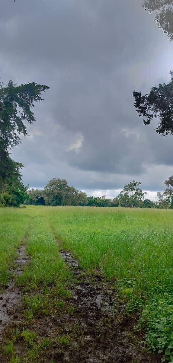 20-Acre Karen Gem at KSh 60M