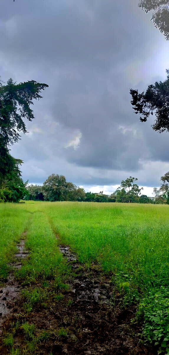 20-Acre Karen Gem at KSh 60M