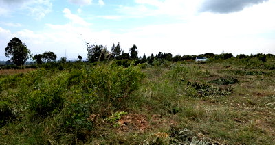 10-Acre Commercial Land with Garden - Njoro