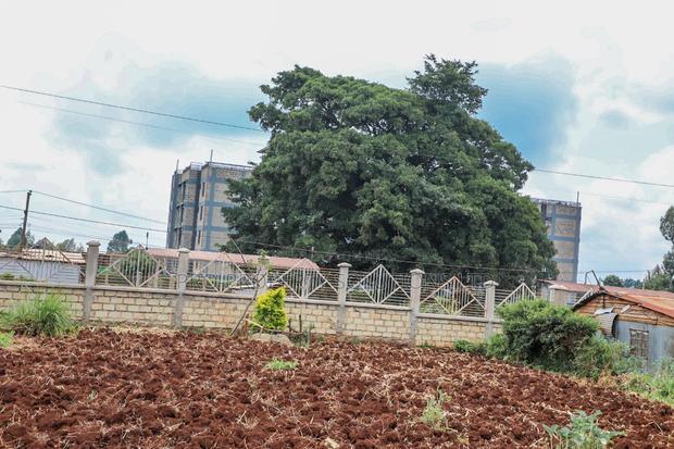 Prime 1/2 - Acre Commercial Plot for Sale in Kikuyu, Gitaru