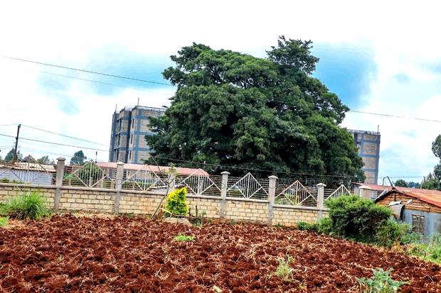 Prime 1/2 - Acre Commercial Plot for Sale in Kikuyu, Gitaru