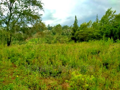 Eighth-Acre (50*100) Plots in Ngong Along Maragara Rd Tarmac - Image 3