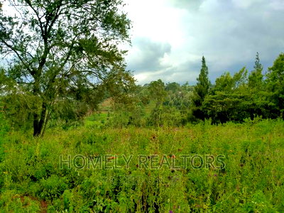Eighth-Acre (50*100) Plots in Ngong Along Maragara Rd Tarmac - Image 2