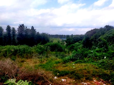 1/4 Acre Moibo Road - Image 7