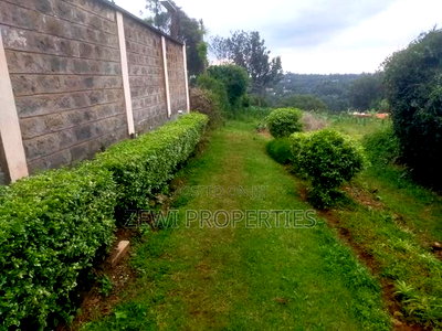 1/4 Acre Moibo Road - Image 2