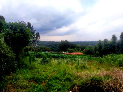 1/4 Acre Moibo Road - Image 4