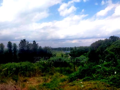 1/4 Acre Moibo Road - Image 3