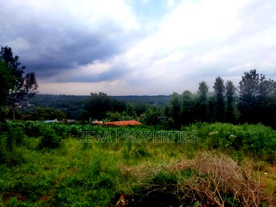 1/4 Acre Moibo Road - Image 5