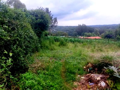 1/4 Acre Moibo Road - Image 6
