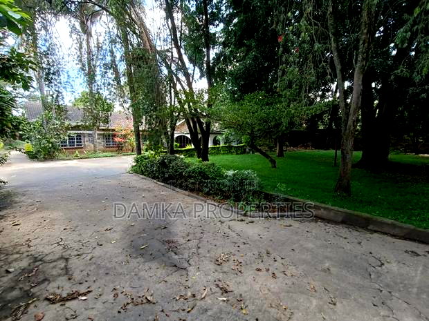 8bdrm Bungalow in Milimani for rent