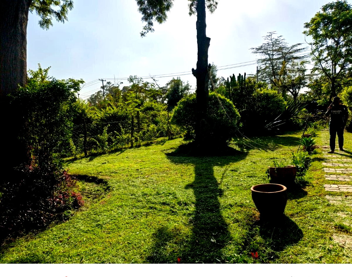 Half Acre Bungalow at KSh 250K