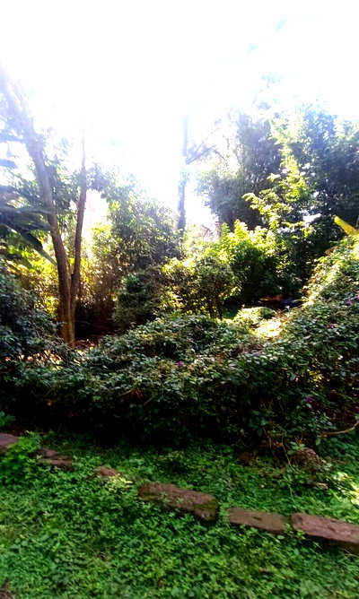 2-Acre Commercial Land in Westlands