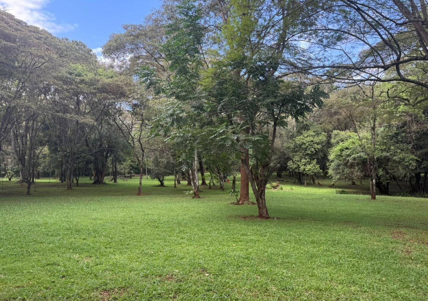 Garden Oasis at KSh 145K