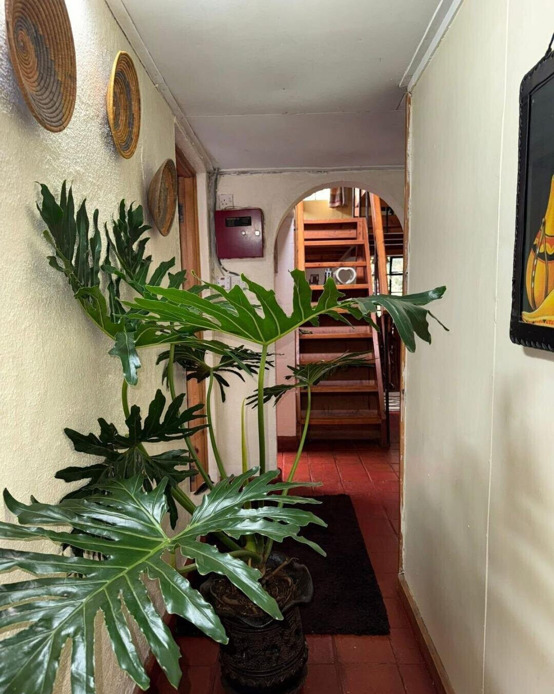 Garden Oasis at KSh 145K