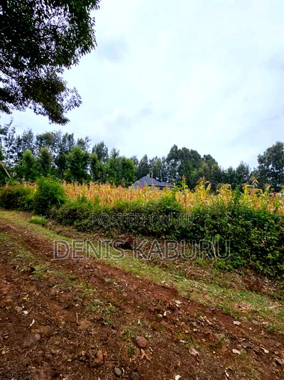 Prime Plots in Ngong Kibiku - Image 5