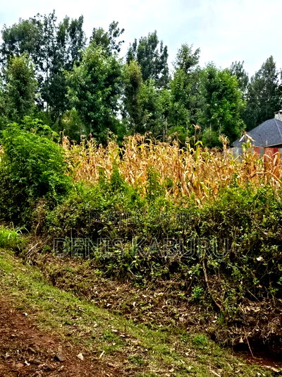 Prime Plots in Ngong Kibiku - Image 1