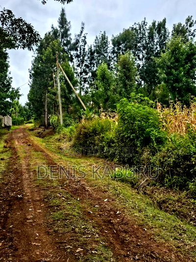 Prime Plots in Ngong Kibiku - Image 2