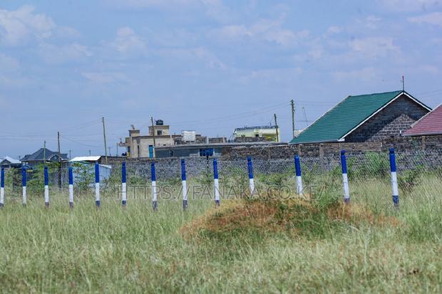 Gated Kamakis Plots for Sale