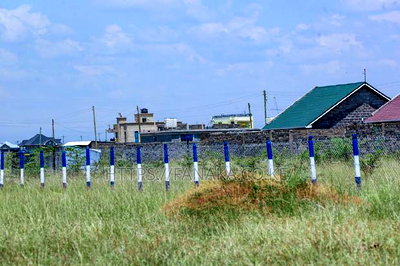 Gated Kamakis Plots for Sale - Image 1