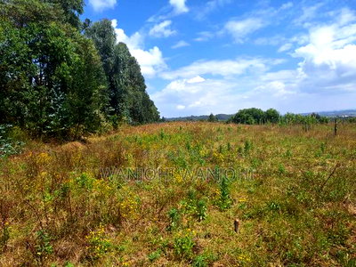 Exclusive Real Estate Listing - Image 2