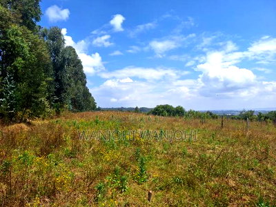 Exclusive Real Estate Listing - Image 3