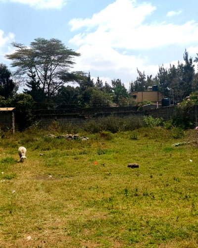KSh 14M Quarter Acre Land in Ngong