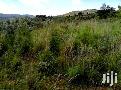 Naivasha 10acres Green Park Phase 2 - Image 8