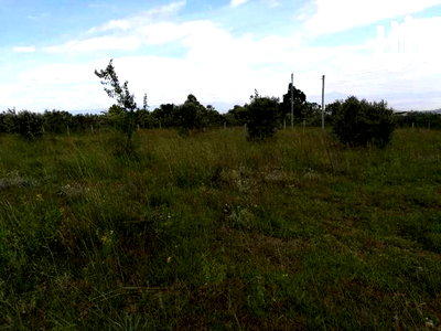 Naivasha 10acres Green Park Phase 2 - Image 2