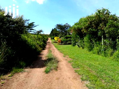 Naivasha 10acres Green Park Phase 2 - Image 7