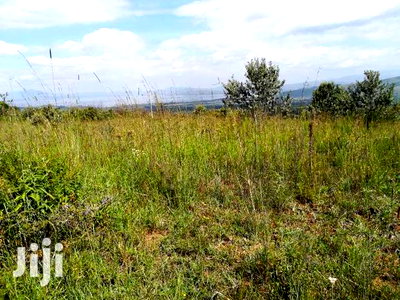 Naivasha 10acres Green Park Phase 2 - Image 5