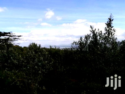 Naivasha 10acres Green Park Phase 2 - Image 6