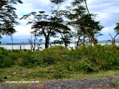 Naivasha 50by100ft Plot For Sale - Image 5